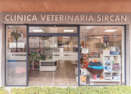 instalaciones veterinaria Sir Can ALCAUDETE